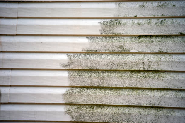 Affordable Siding Repair and Maintenance Services in Odessa, FL