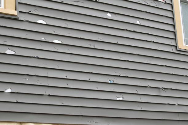 Best Fiber Cement Siding Installation  in Odessa, FL