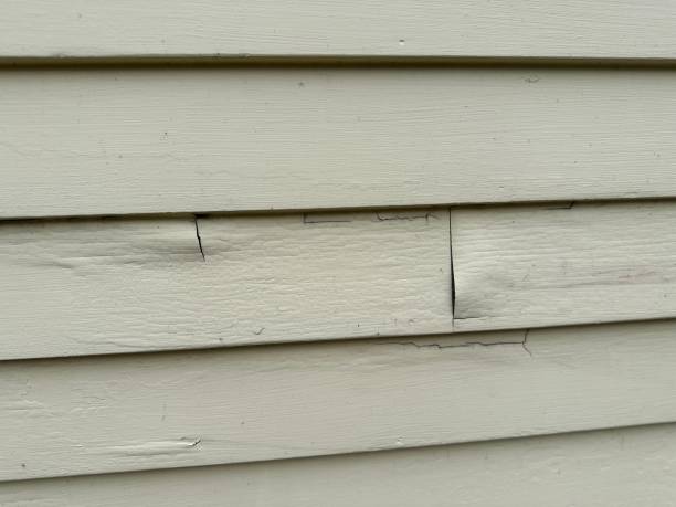 Siding Removal and Disposal in Odessa, FL